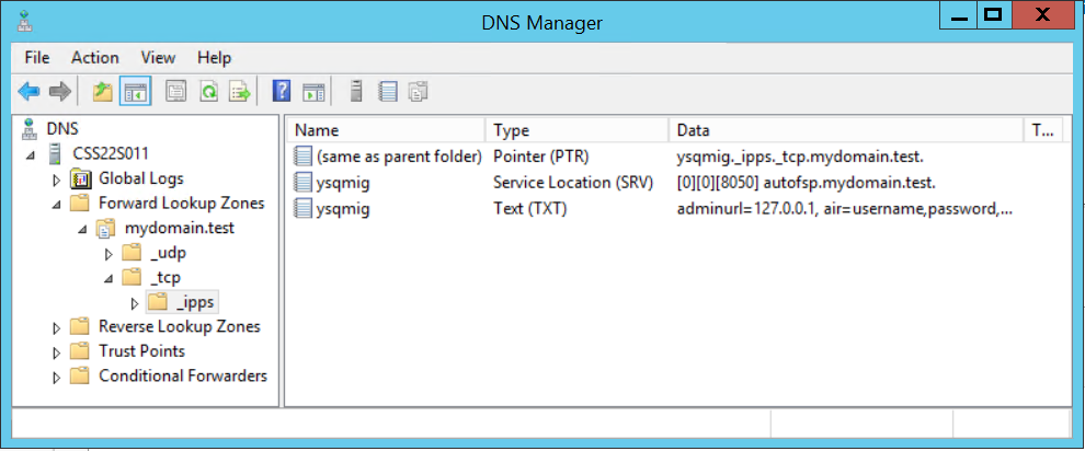 images/download/attachments/160480412/dns_manager_2.png